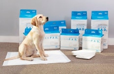 닥터독, 초강력 고흡수 폴리머 함유한 강아지패드(클린패드) 출시