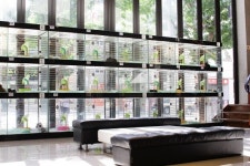 부산 강아지분양 업체 미유펫, 추석맞이 할인 이벤트