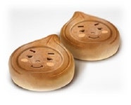 20대 청년농식품사업가 둘이 뭉쳐, 관광도시 단양지역특산품 개발 박차