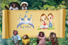 변산반도 가볼만한 곳 전북부안 원숭이학교, 다양한 콘텐츠 제공으로 주목