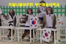 주말 나들이 추천 전북부안 원숭이학교, 교육목적 뿐 아니라 정서함양에도 효과 커··