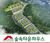 남양 화성전원주택 숲속타운하우스 쾌적한 자연속의 출퇴근길 눈길