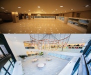 500평 펫갤러리아, 1~3층 펫제이 강아지분양기업 포메라니안·비숑프리제 애견 할인