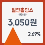일진홀딩스 주가& 증권시세 28일  현재 3050원   , 증권 그래프 분석