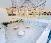 국내 대규모 강아지분양 펫제이코리아, 1~3층 500평 김포본점 포메라니안분양 이벤트 진행