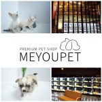 펫팸족 각광, 선진반려문화 애견샵 강아지분양 미유펫