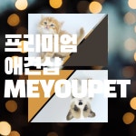 강아지분양 애견샵 미유펫 병원진료비 지원 혜택 선보여