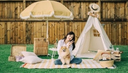 광주 애견테마파크 퍼니하우스, 애견 동반 펜션으로 인기