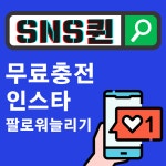 SNS퀸, 인스타 팔로워 늘리기 저렴한 셀프마케팅 유행