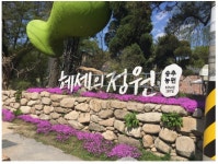 헤세의 정원, 봄맞이 이벤트 개최… 서울근교나들이 고객에게 음료 무료 증정