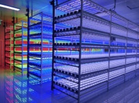 [특징주] 우리바이오, 해리스 트럼프 모두 대마 찬성...미국 정책 수혜 기대감에 급등