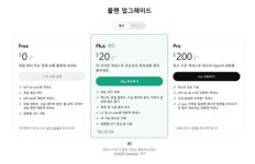 오픈AI, 월 28만원 챗GPT 프로 출시