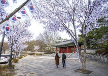 용산구, 제106주년 3·1절 기념 태극기 거리 조성