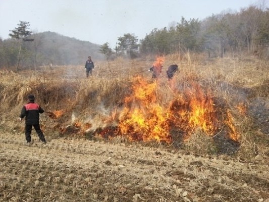 염치읍, 논·밭두렁 공동소각으로 산불예방 | 포토뉴스
