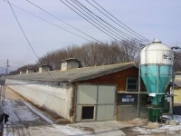 선진국형 설비로 진화하고 있는 국내 양돈장 선진 제일종축!