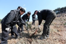 서산시, 제69회 식목일 나무심기 행사 개최