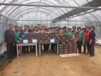 당진 정미면새마을협의회, 김치 나눔 봉사 실천