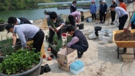국립농산물품질관리원 충남지원, 농촌 마을 가꾸기 행사 실시