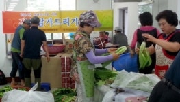 태안. 남면 주민자치위원회, 사랑의 김치 담그기 행사 가져