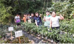 이인초, 내 손으로 텃밭을 가꾸어요