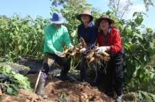 당진 새소득작물 전자상거래 판매농가 화제