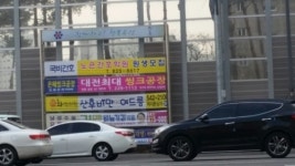 유성구청 대로변 현수막관리 주먹구구