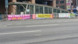유성구청 대로변 현수막관리 주먹구구