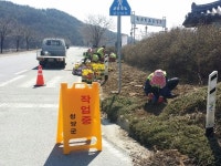 알록달록, 울긋불긋 도로변을 수놓다