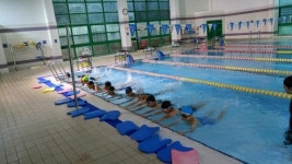 마곡초, 물놀이 안전을 위한 수영교육 실시