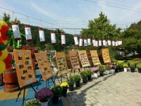 공주시 추계보건진료소, 국화 전시회 열어