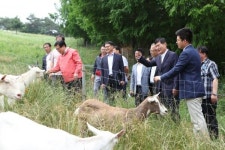 금산군, 올해 인삼약초산업 괄목성과