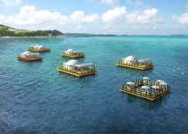 태안군, 바다낚시공원 조성