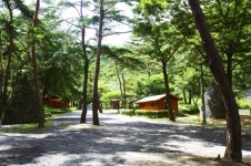 부여군 만수산자연휴양림에서 힐링하세요