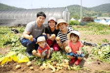 서산 팔봉산 감자축제성료