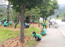 송악면, 꽃나무 화단 환경정비로 지역사랑 실천
