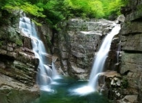 조치원역,『동해 두타산 무릉계곡 & 묵호항 기차여행』출시