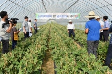 특산품과 년3모작을 연결한 지역농업발전 모델 제시