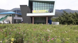 가을밤 코스모스와 함께하는 운곡사랑 가을음악회 개최