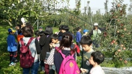 아산성심학교, 사과농장 현장체험학습 실시