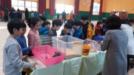 당진 상록초교, 신나는 방과후학교 부스 체험