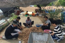 아산시 민원봉사담당관실, 자매결연마을 일손돕기 나서