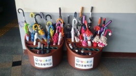 명천초, 양심 우산 대여 사업 실시