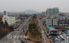 홍성군, 도시숲 조성사업 완료!