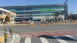 대전 신성동 지역 횡단보도 설치와 좌회전 허용 절실