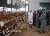이석화 청양군수, 가축시장 방문 격려