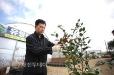 천안동부권 최대 나무시장, 유영농원 전시판매장 개장