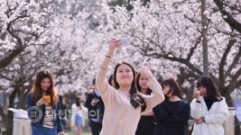 순천향대 건학40주년기념, 제2회 벚꽃음악회 개최