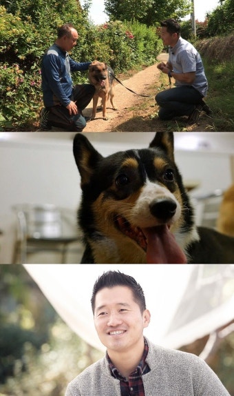 '세상에 나쁜 개는 없다' 2018 해피 알림, 그 후 이야기…강형욱 훈련사 하차