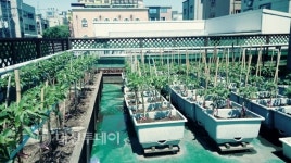 괴정동, 「괴정동 힐링 샘물 텃밭」수확물 경로당 전달..