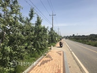 응봉면, 가로수사과 수익금 344만원 연합모금에 기부